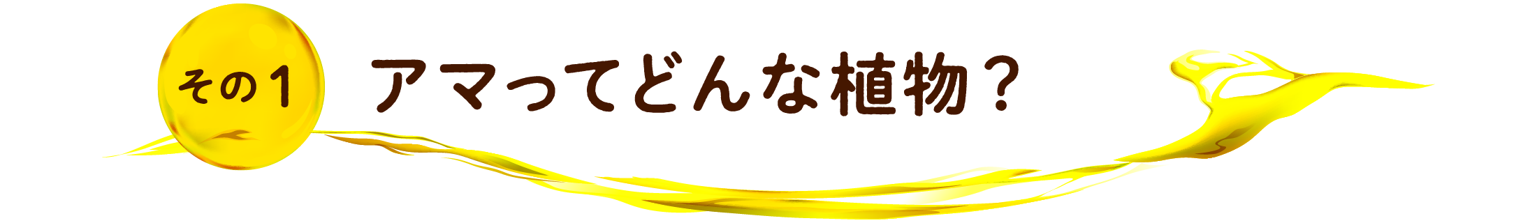 その1 アマってどんな植物?