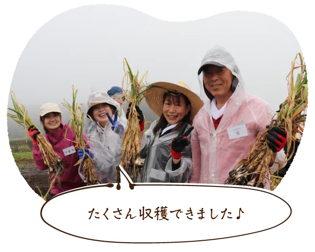 たくさん収穫できました♪