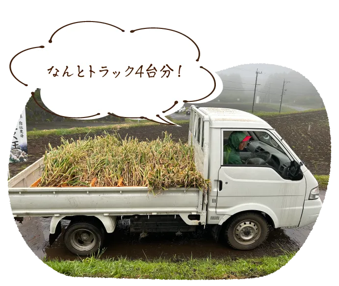 なんとトラック4台分!