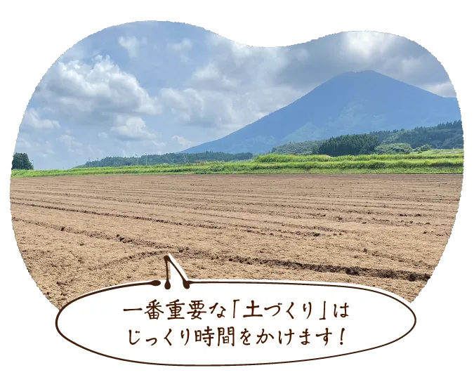 一番重要な「土づくり」はじっくり時間をかけます!