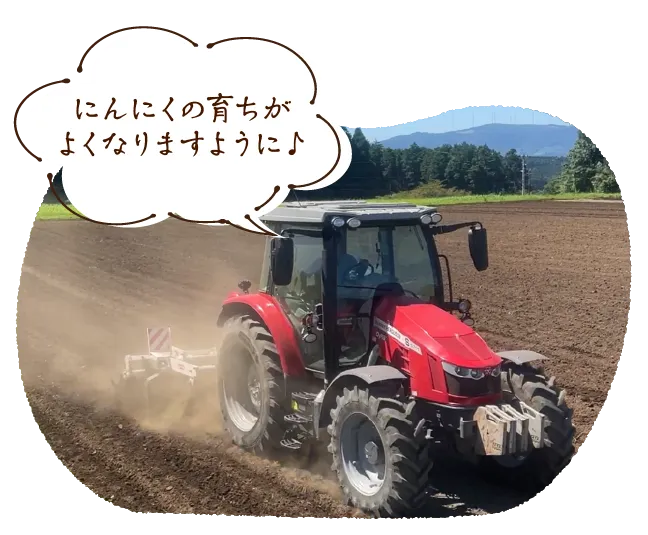にんにくの育ちがよくなりますように♪