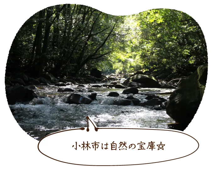 小林市は自然の宝庫☆