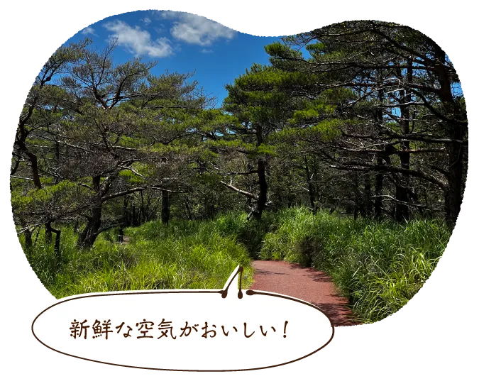 新鮮な空気がおいしい!