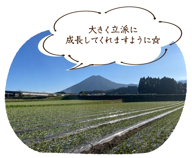 大きく立派に成長してくれますように☆
