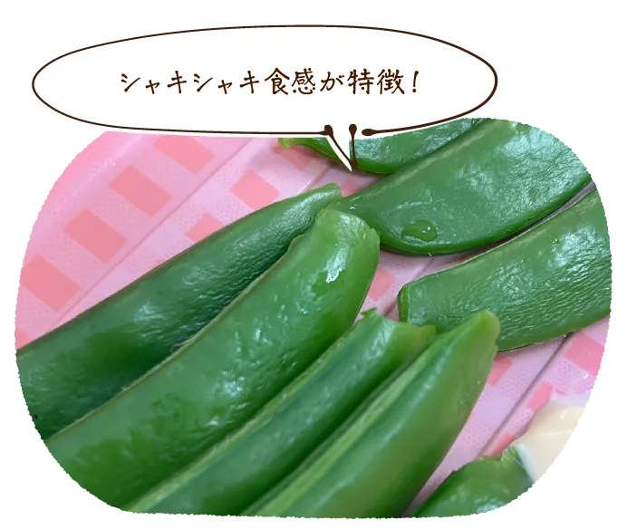 シャキシャキ食感が特徴!
