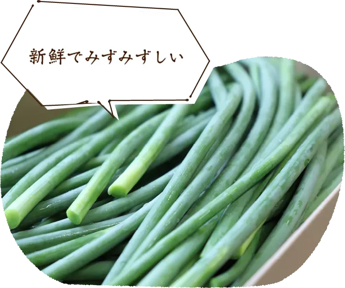 新鮮でみずみずしい(^^)/