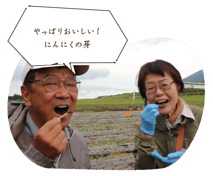 やっぱりおいしい!にんにくの芽