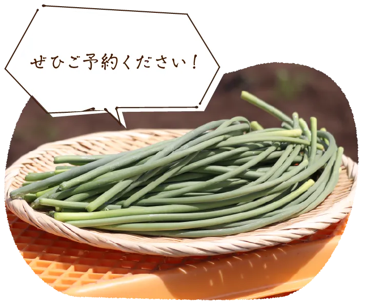 「ぜひご予約ください!」