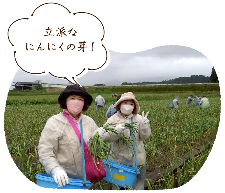 「立派なにんにくの芽！」