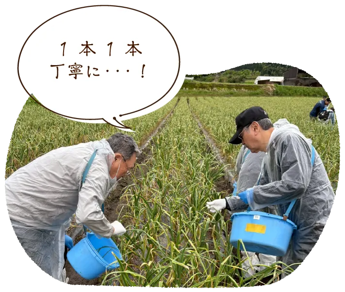 「1本1本丁寧に・・・！」