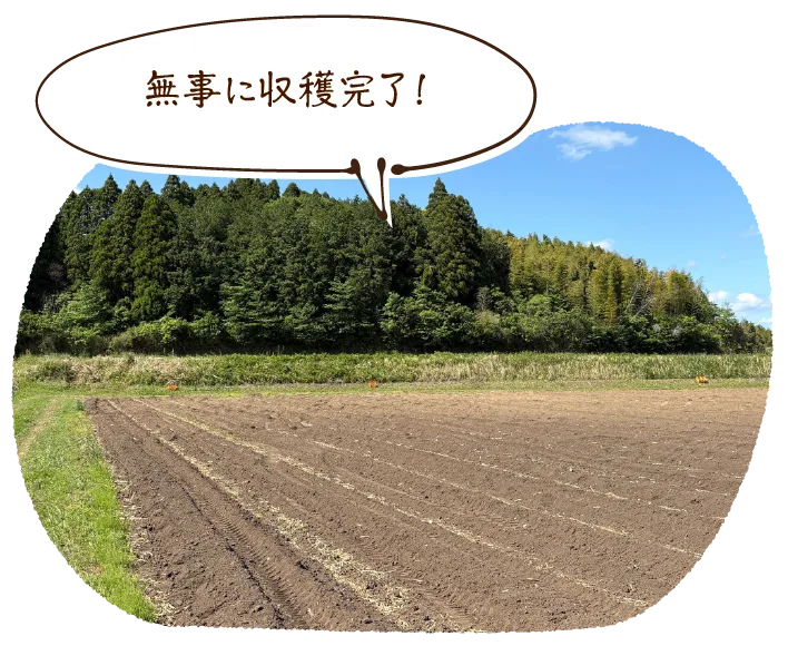 「無事に収穫完了!」