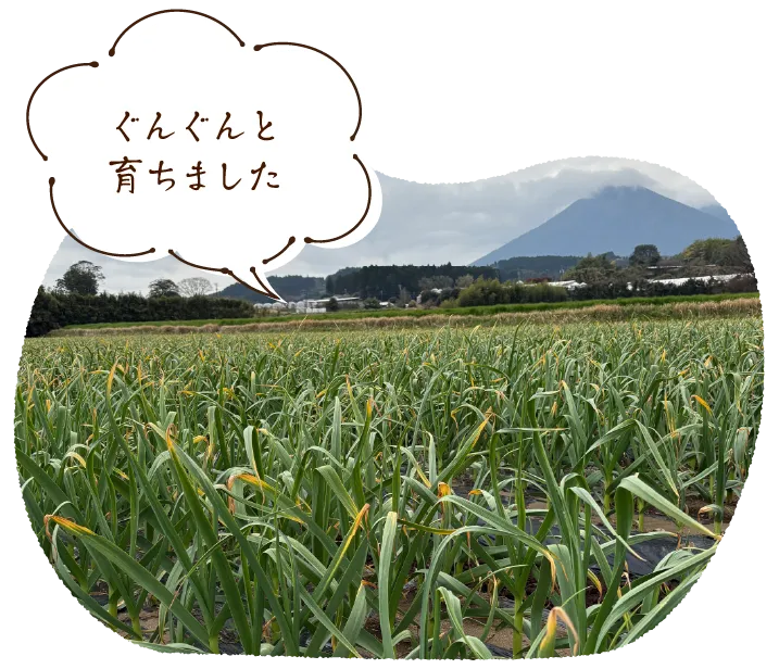 「無事に収穫完了!」