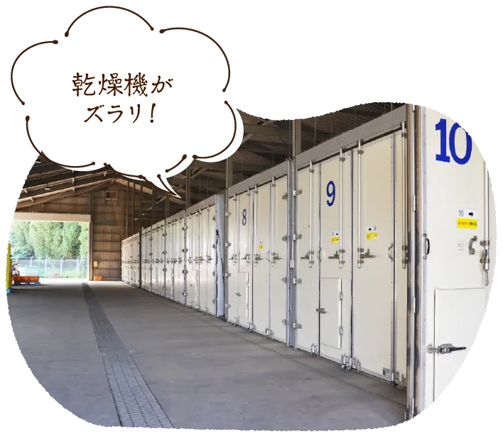 乾燥機がズラリ!