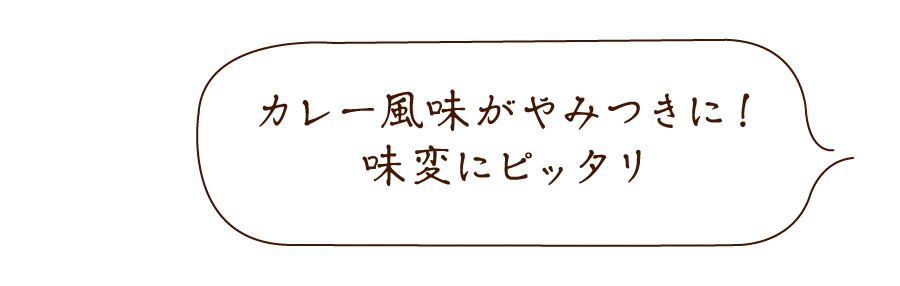 旨すぎにんにくカレー塩
