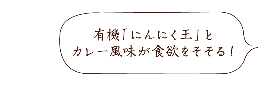 旨すぎにんにくカレー塩