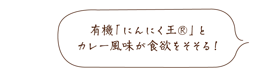 旨すぎにんにくカレー塩