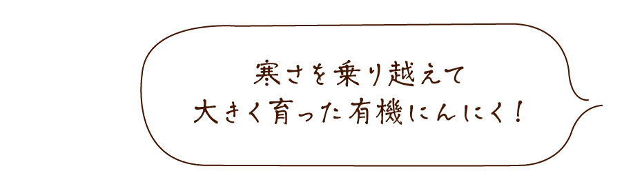 有機にんにく王®