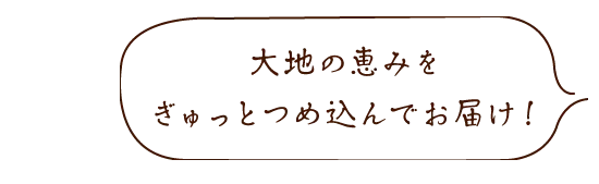 大地の恵みをぎゅっとつめ込んでお届け!