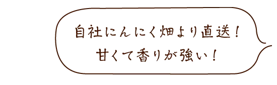 自社にんにく畑より直送!甘くて香りが強い!