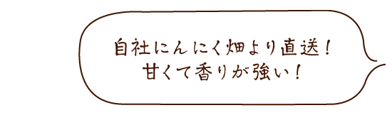 自社オリジナルブランド 有機にんにく王®