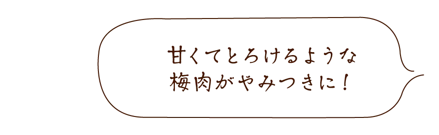 梅にんにく
