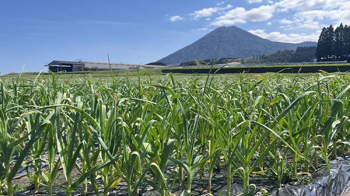 有機野菜とは？！