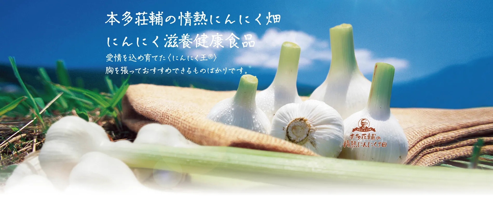 にんにく滋養健康食品