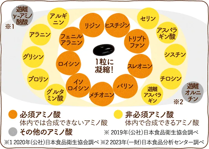 21種類のアミノ酸