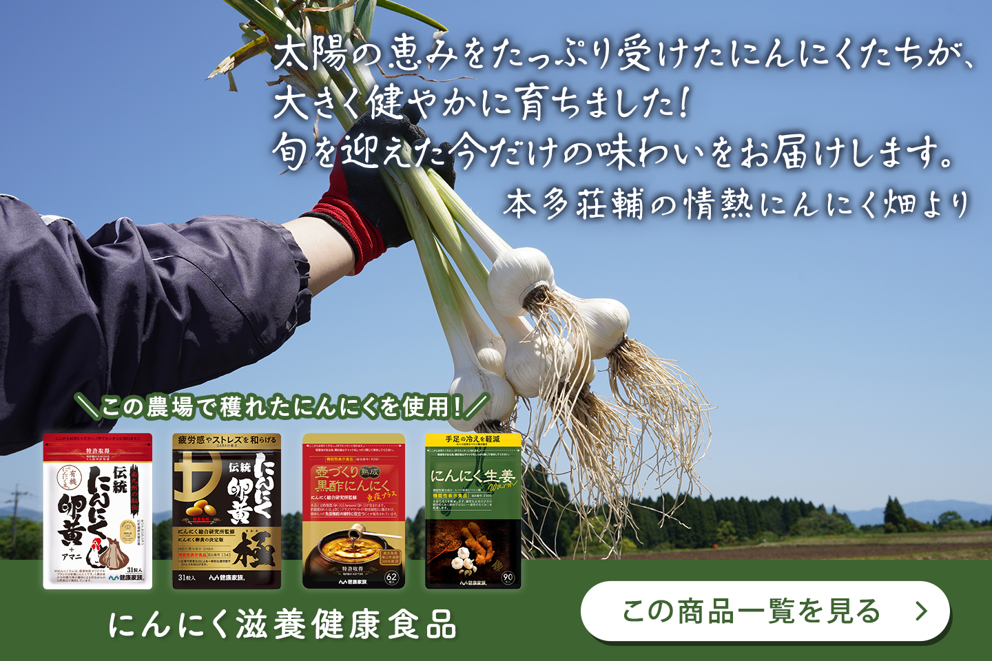 にんにく滋養健康食品 この商品一覧を見る