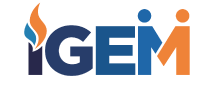 logo_IGEM